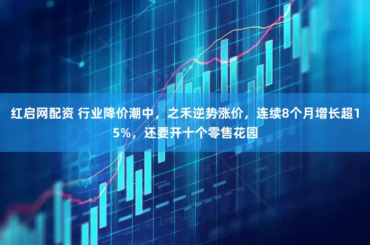 红启网配资 行业降价潮中，之禾逆势涨价，连续8个月增长超15%，还要开十个零售花园